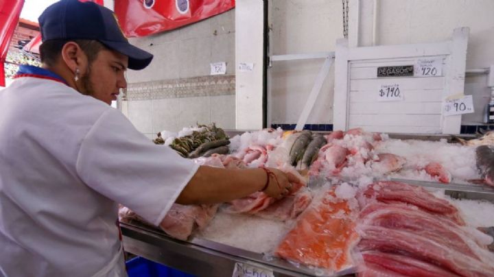 ¿Cuánto cuesta pagar el Seguro Social si trabajo por mi cuenta en Guanajuato?