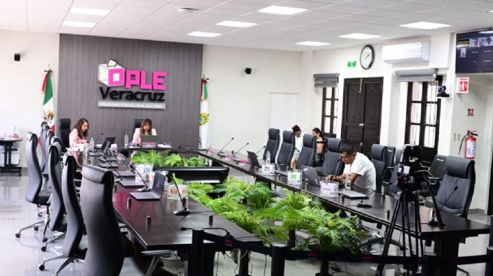 OPLE se sumará a la Mesa de Seguridad y vigilará seguridad en campañas