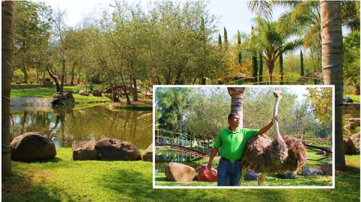 Lánzate a la Granja de Mariana en Hidalgo y conoce estos animales