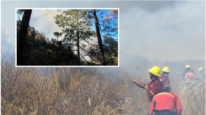Incendios forestales arrasan con Hidalgo; el fin de semana hubo nueve y todavía siguen algunos