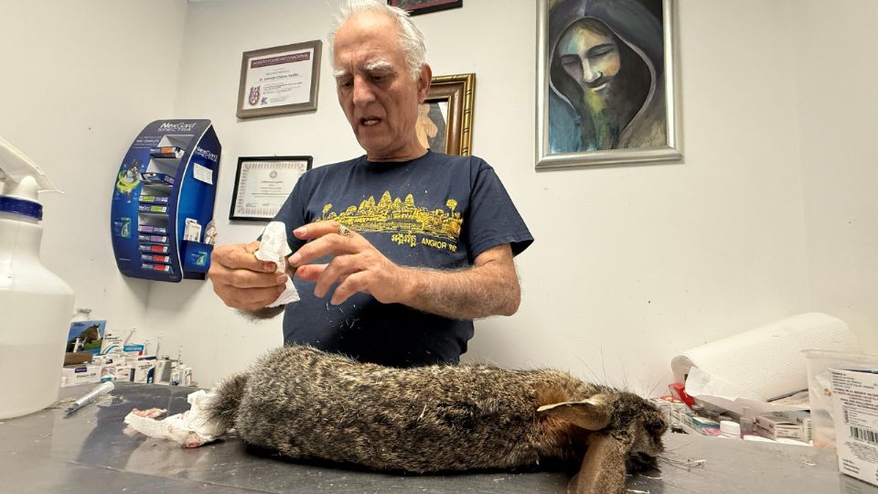 Veterinario Germán Chávez