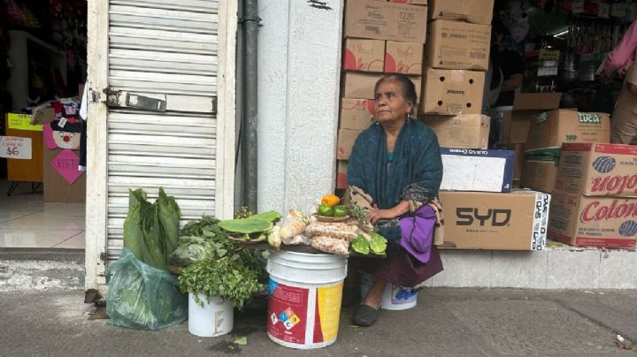 Veracruz, campeón en analfabetismo: A Tere, su hija de 15 años le enseñó a leer