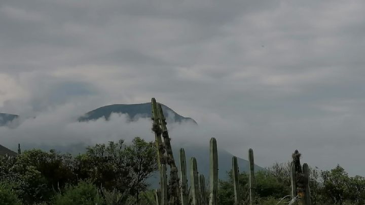 Un viaje al pasado minero en El Vithe, lugar de túneles y cuevas en Hidalgo