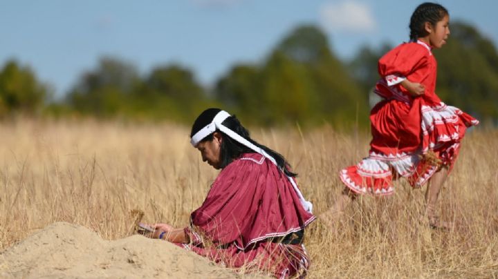 Defensores indígenas en la Sierra Tarahumara: entre la violencia y la impunidad