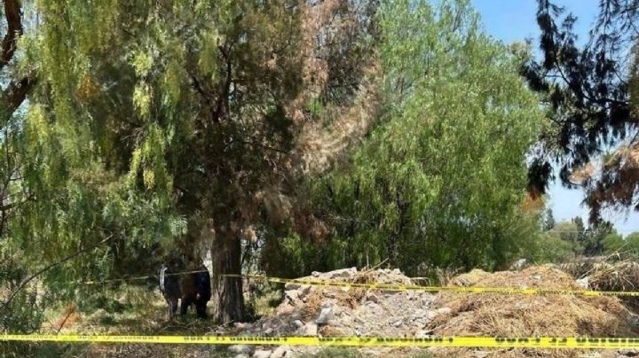 Esto sabemos del cadáver abandonado en la carretera Actopan-Progreso de Obregón