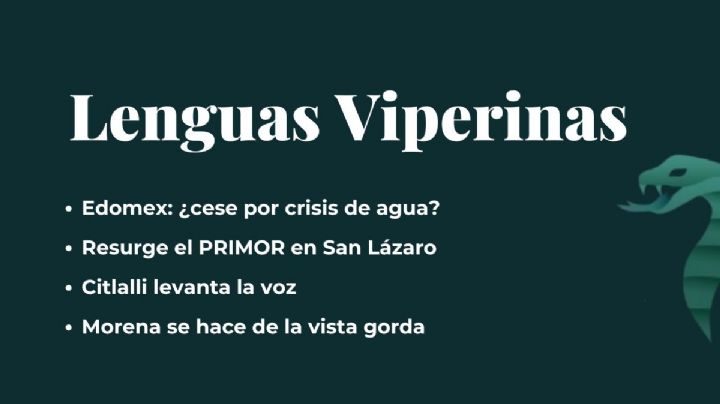 Lenguas Viperinas