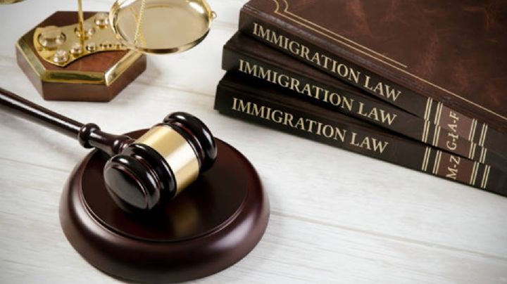 Demandan al gobierno Trump para detener las "expulsiones aceleradas" de inmigrantes