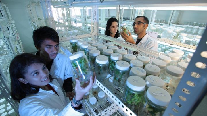 La fuga de cerebros acecha a EU por culpa de Trump