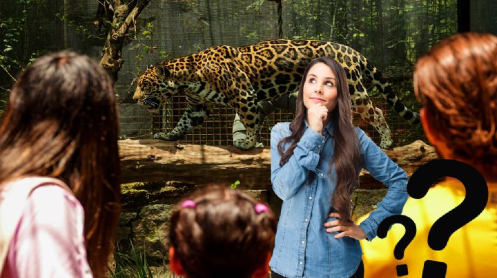 ¿Quién es el verdadero dueño del Zoológico de Chapultepec, uno de los mejores de América Latina?