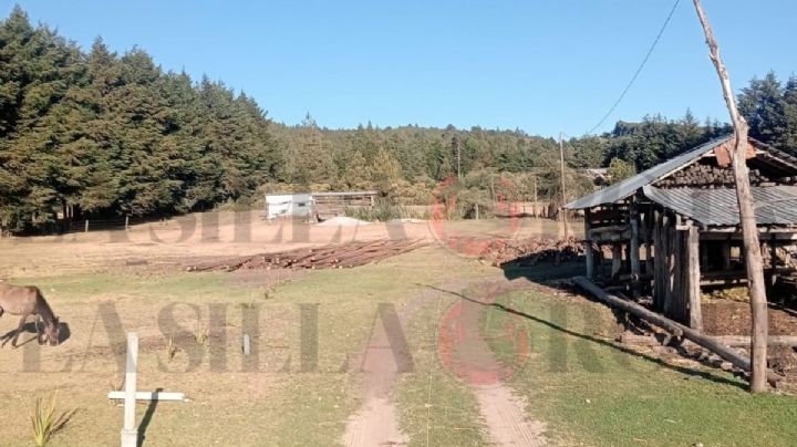 Hallazgo de cuerpos en Ayahualulco, Veracruz hoy 29 de marzo: eran 3 hermanos