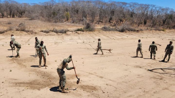 De película: destruyen plantíos de marihuana, aseguran pista e incautan 1 millón de pesos