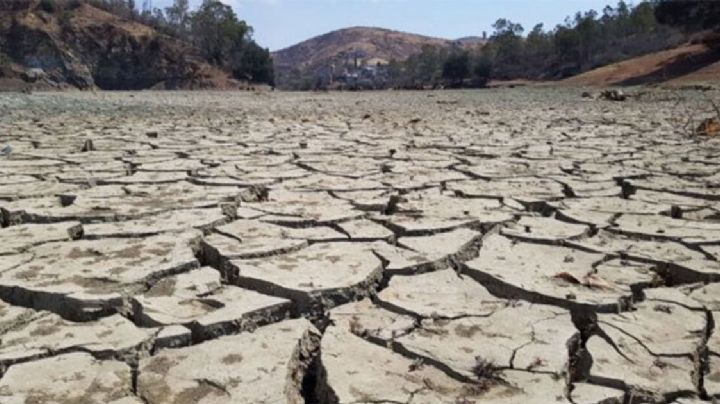 Bajan cultivos por sequía y costos altos en Tamaulipas