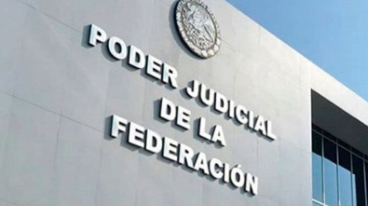 Arrancan jueces campaña en Guanajuato; vota por “el tiburón de la independencia”