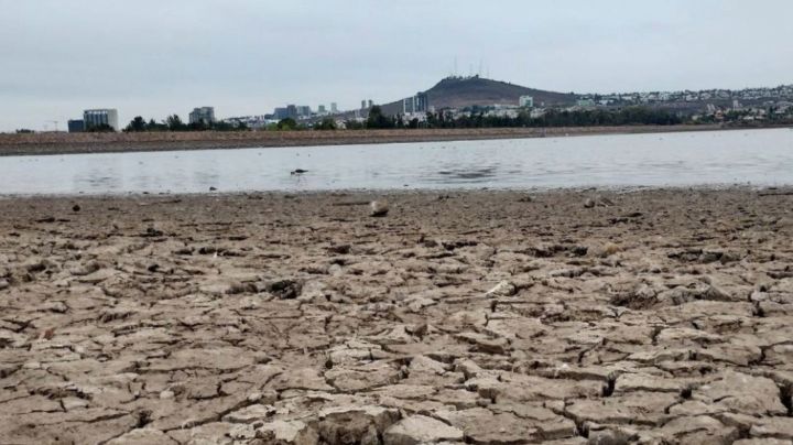 Sequía en León: El palote podría secarse totalmente en cuestión de semanas