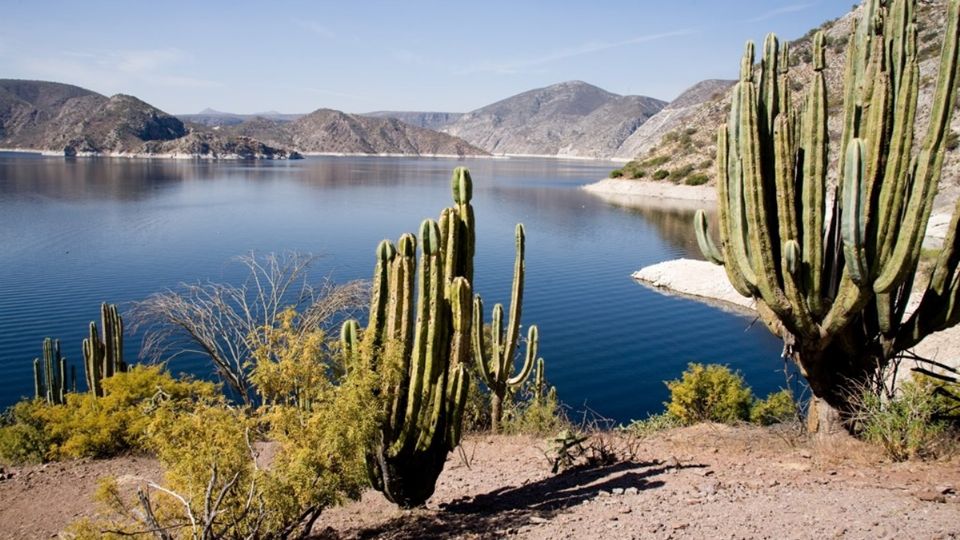 La presa se localiza en Zimapán, al poniente del estado de Hidalgo