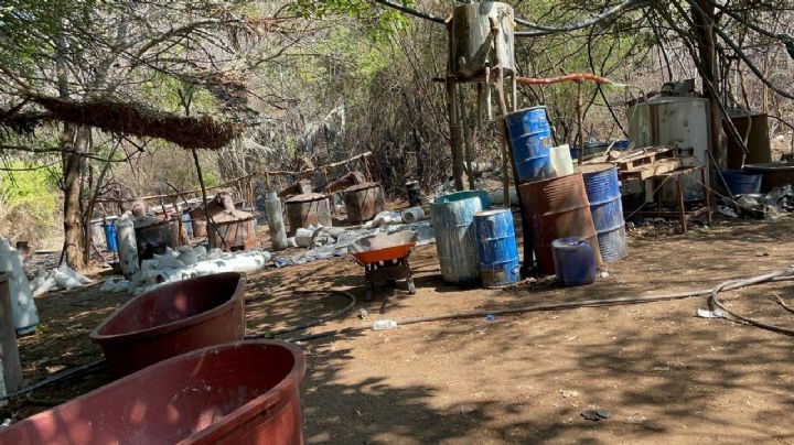 Desmantelan narcolaboratorio en Michoacán: estiman golpe de 3.4 millones al narco