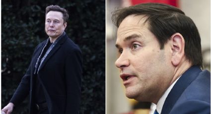 Trump niega supuesto enfrentamiento entre Musk y Marco Rubio: "Tienen una excelente relación"