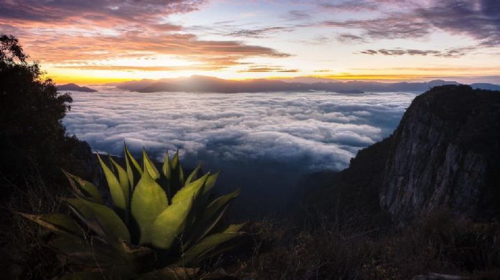 El Cristo Rey de Xichú: un paseo por las nubes a 2112 metros de altura
