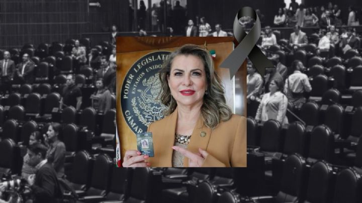 Muere la diputada federal de Veracruz María del Carmen Pinete