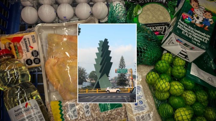 Estos son los 31 productos de la despensa básica de una persona en Xalapa