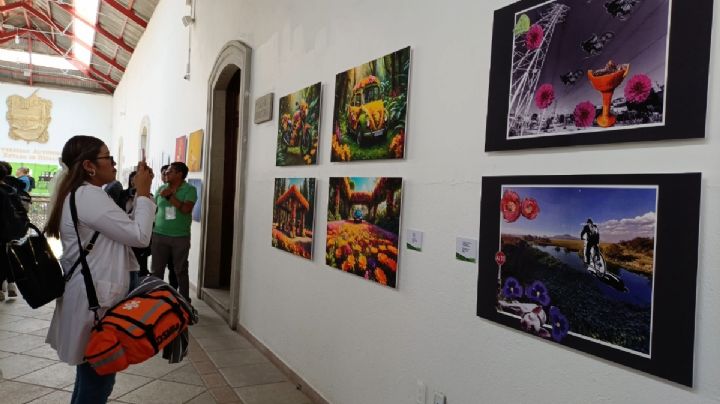 Anuncian cartelera del Festival de la Imagen, tendrá más de 135 actividades