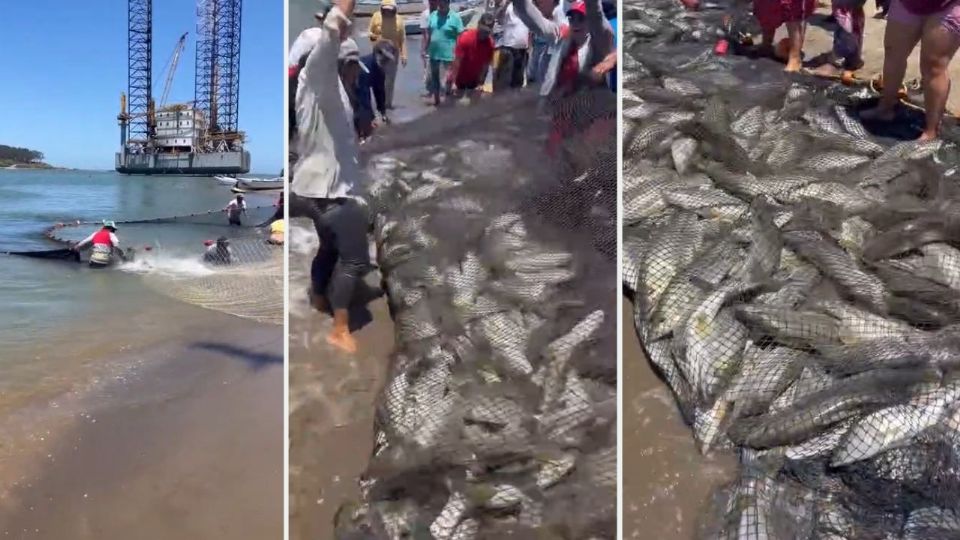 La captura la realizan después de varios meses de poca pesca.