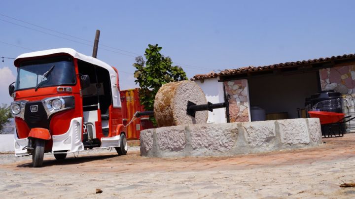 Del burro al mototaxi: así se elabora mezcal sin maltrato animal en un palenque de Oaxaca