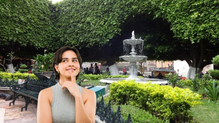 ¿Quién es el dueño del Jardín Unión en Guanajuato?