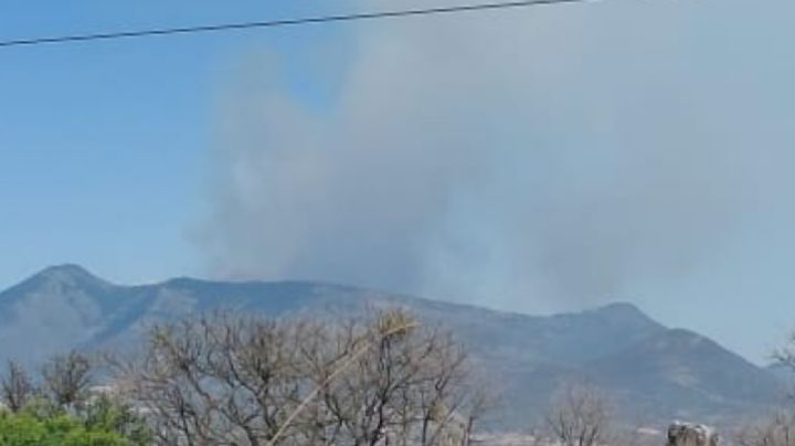 Se registra enorme incendio forestal en la Sierra de Lobos
