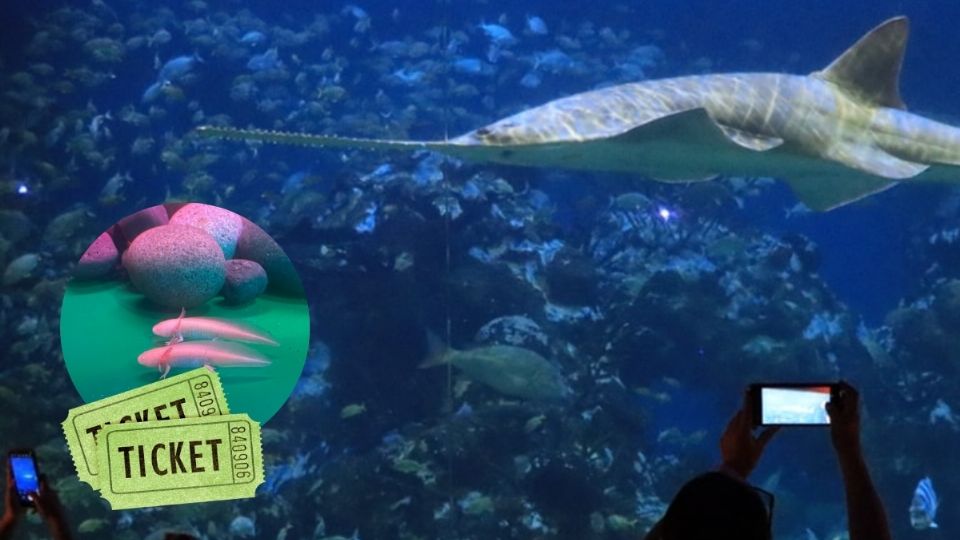 Costos y horario nuevo en Semana Santa