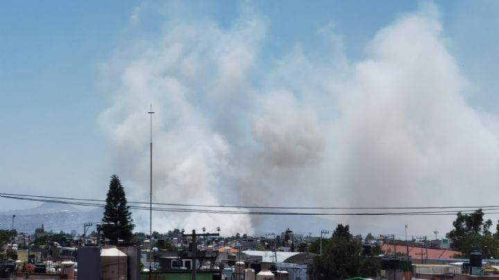 Se reactiva incendio en pastizales cerca del Parque Lago de Texcoco