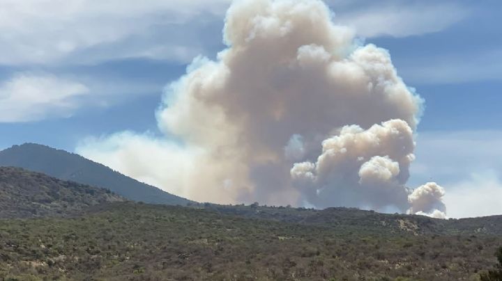 Megaincendio forestal en Guanajuato se salió de control, se retiran combatientes