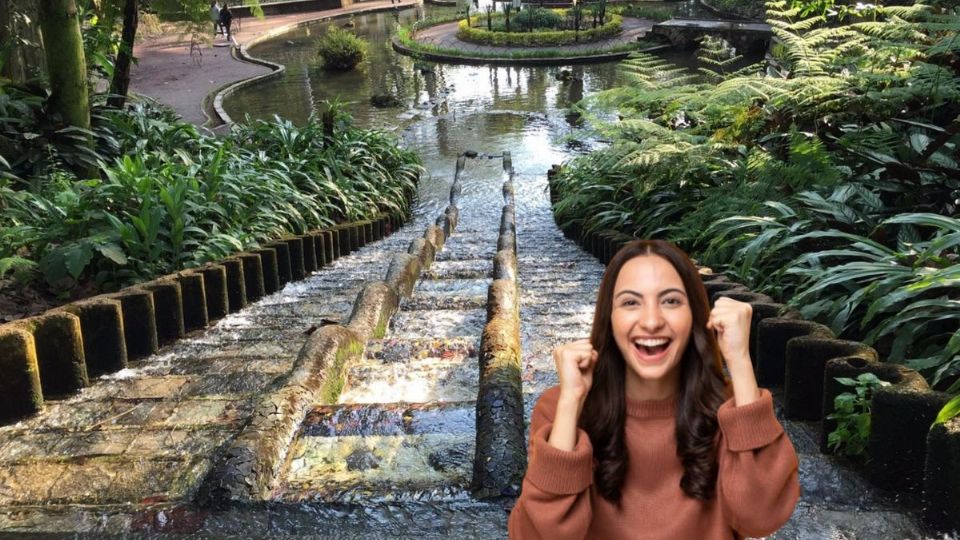 En el estado de Veracruz podemos encontrar varios manantiales que serían extraordinarios sitios turísticos para visitar.