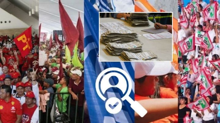 Candidatos y candidatas a alcaldías de Veracruz: 55 apodos peculiares que eligieron en las boletas