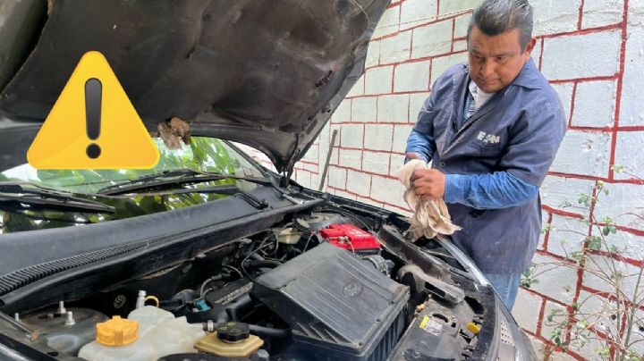 Cómo revisar el auto para viajar en Semana Santa; esto recomienda mecánico de Veracruz
