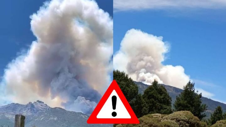 VIDEO: Fuerte incendio en faldas del Cofre de Perote hoy 17 de abril, esto sabemos