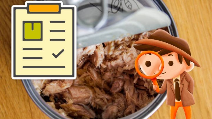 Atún que no es atún: las marcas que mienten y no cumplen según Profeco para no comer en Semana Santa