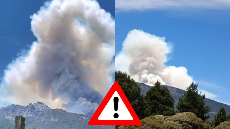 Se incendia el Cofre de Perote en Veracruz, esto sabemos