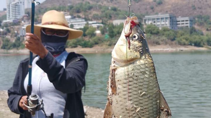 Pescan en Madín, a pesar de que el IPN reporta contaminantes químicos en este embalse