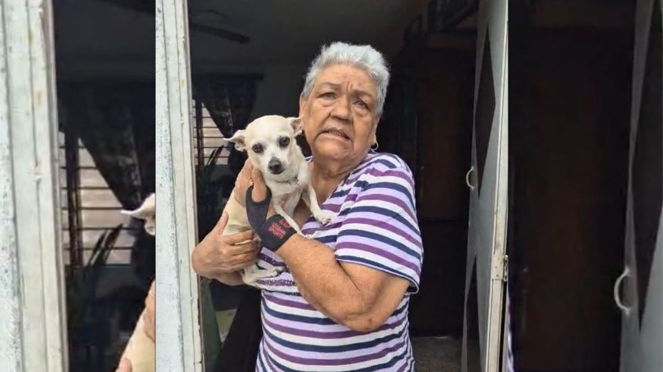 Después de 2 meses y una semana de que fue robado.