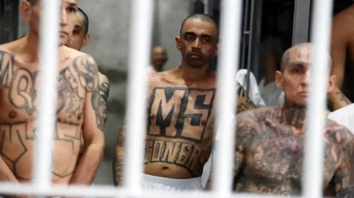 Corte batea de nuevo a Trump: ordena alto a deportaciones de venezolanos a El Salvador