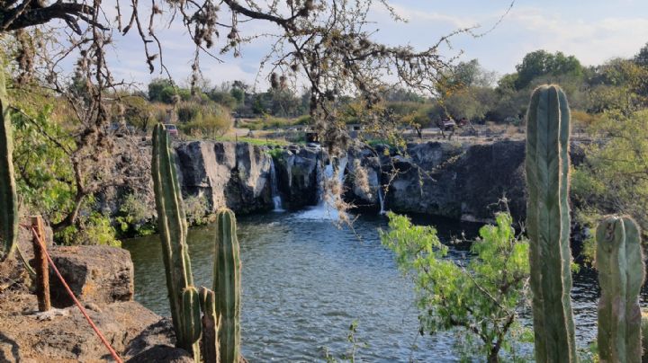 Las cascadas que parecen el Niágara de Hidalgo, en este lugar las encuentras