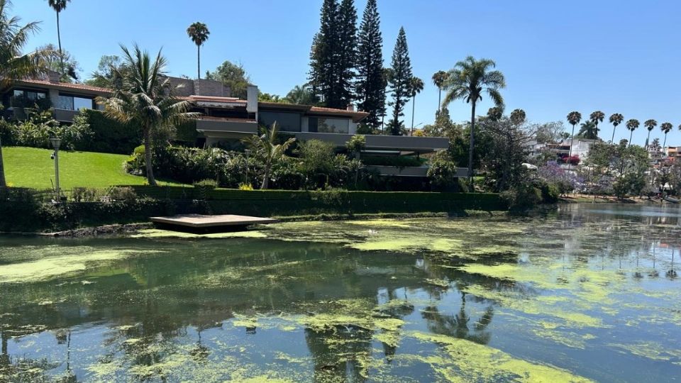 Lagos de Las Ánimas, de atractivo turístico a foco de infección en Xalapa