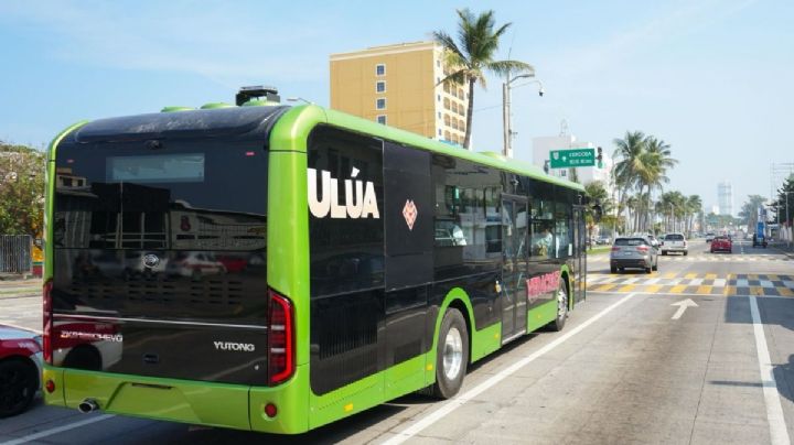 A partir de esta fecha, 100 nuevos autobuses eléctricos en Veracruz - Boca del Río