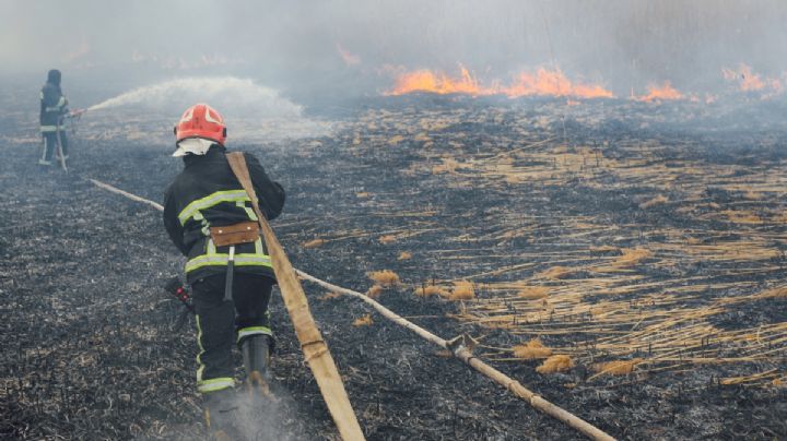 Incendio en Hidalgo consume más de 30 hectáreas; evacuaron algunas viviendas