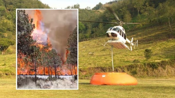 Cofre de Perote: Así van los trabajos de control del fuego en el incendio forestal