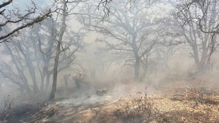 Muere voluntario en incendio forestal en Sierra de Puruagua; autoridades lamentan fallecimiento