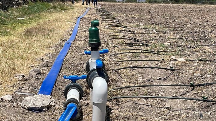 Instalan parcelas modelo para modernizar el riego en Hidalgo