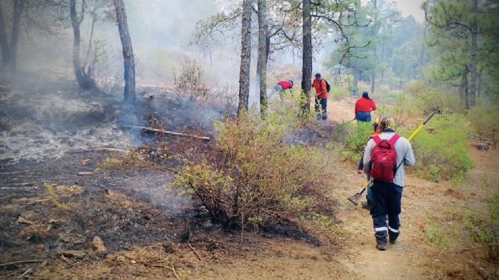 Termina el incendio en la Sierra de los Agustinos; sigue vivo el de la Sierra de Puruagua