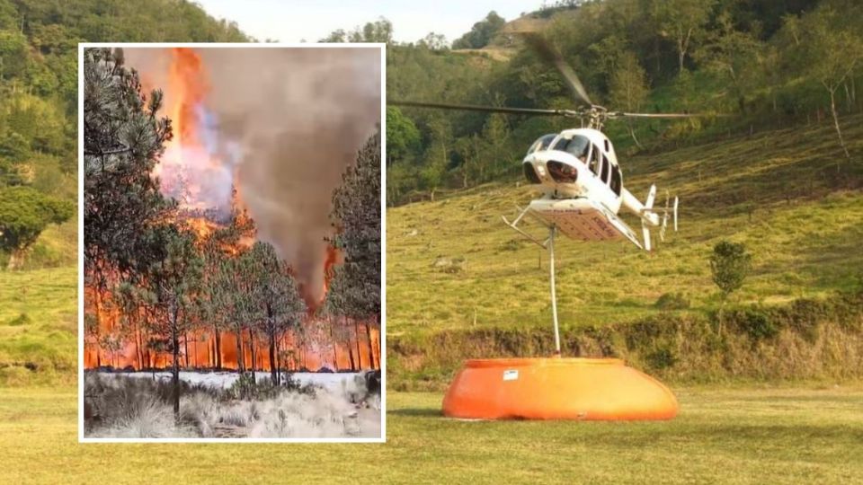 ¿Cómo va el incendio del Cofre de Perote hoy domingo 20 de abril?